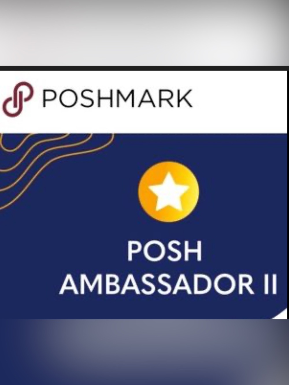 Poshmark Ambassador II